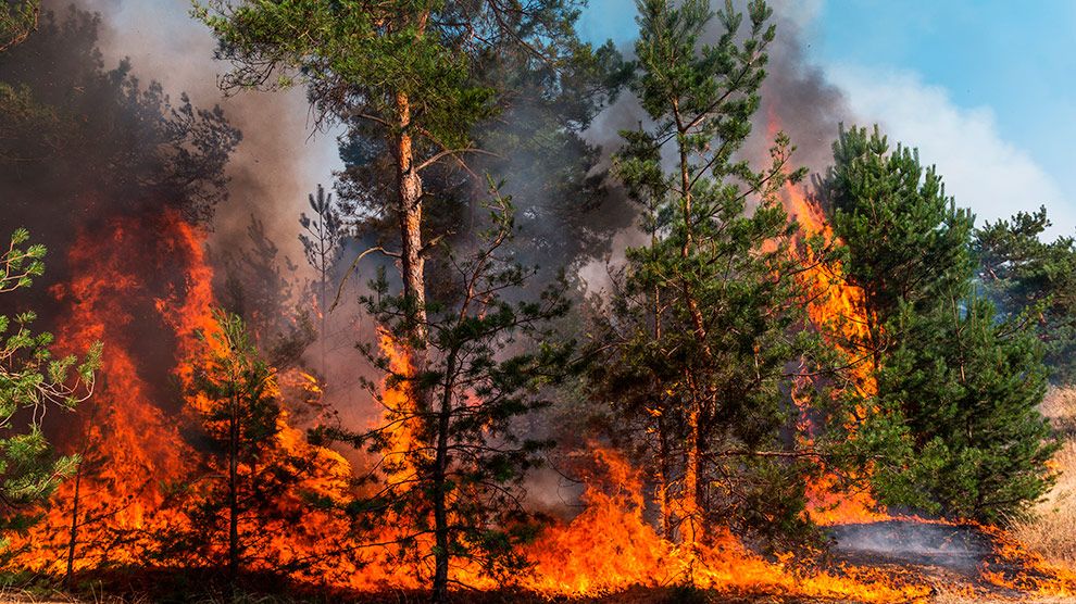 Reportan 106 incendios forestales activos en México