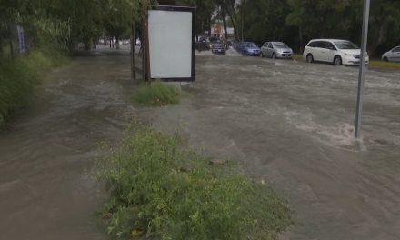 Tormenta tropical ‘Alberto’ avanza a Tamaulipas… ¿Cuándo llegará a Coahuila?