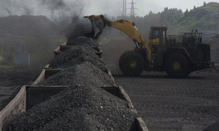 Productores de carbón esperan más contratos con la CFE