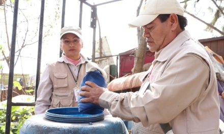 Emiten recomendaciones para prevenir el dengue tras las lluvias