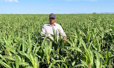 Apoya Acuña a los productores del campo tras años de sequía