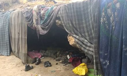 Descubren vivienda de indigente en un arroyo en Parras de la Fuente