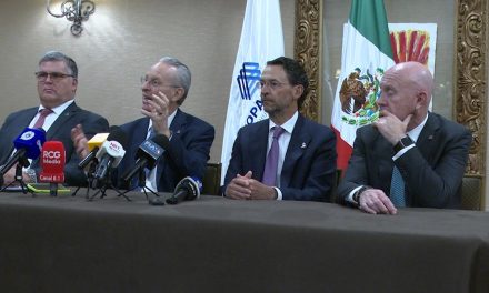 En peligro de desaparecer órganos autónomos