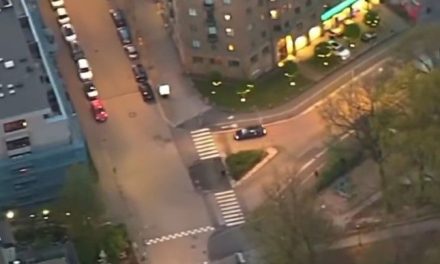La increíble persecución ocurrida en Suecia que se hizo viral (video)