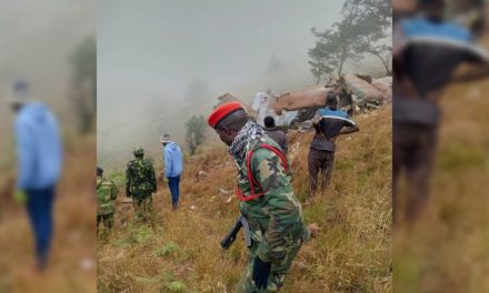 Muere el vicepresidente de Malaui en un accidente de avión