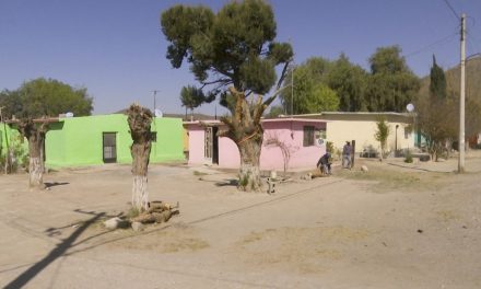 Más beneficios dejan lluvias en zona rural de Saltillo