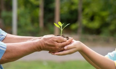 Coahuila: Presentan la página ‘Maestros en ambiente’
