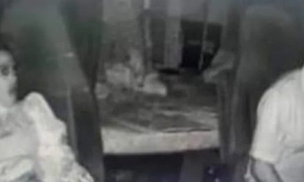Aparece mujer fantasma como copiloto de un trailero y se hace viral