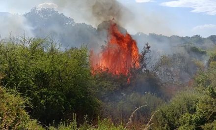 Niños causan incendio en un arroyo de Parras
