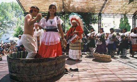 Todo listo para la Gran Vendimia en Parras