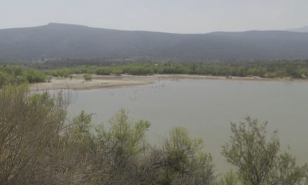 Para evitar más tragedias limitarán paso a presas en Ramos Arizpe