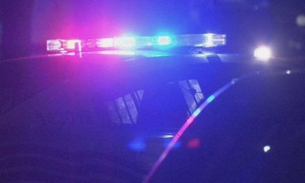 Mujer ataca a niño de 10 años en la alberca de un motel en Nueva Jersey y además mordió a un policía