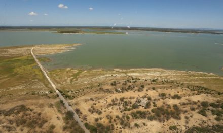 Crisis de agua: Presas al borde del colapso en Nuevo León