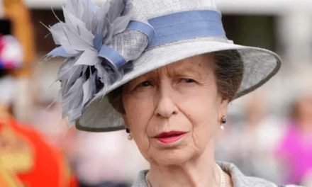 Hospitalizan a la Princesa Ana tras sufrir una conmoción cerebral