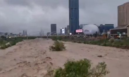 Videos: Río Santa Catarina se desborda por la tormenta tropical Alberto en Monterrey