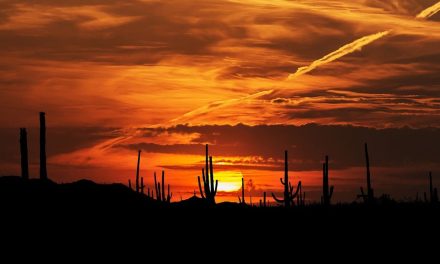 Mientras Saltillo y Monterrey están ‘bajo el agua’ en Sonora rompen récord y llegan a 52 grados