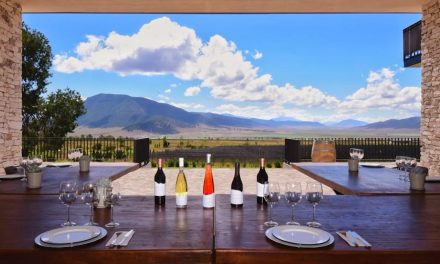 Tiene Coahuila de los mejores vinos en el mundo