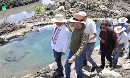 Rehabilitarán 67 manantiales en cuenca del lago de Pátzcuaro