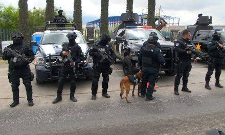 Despliegan operativos de seguridad en la región Centro