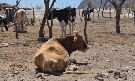 Vive el campo su peor crisis en 15 años