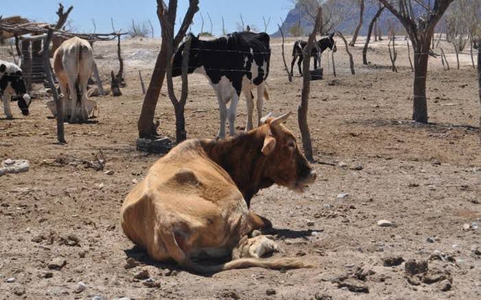 Vive el campo su peor crisis en 15 años