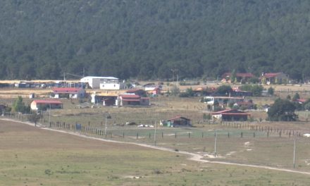 Se agrava la sequía en la región Laguna