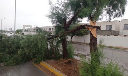 Ayuntamiento de Torreón incrementa recorridos de vigilancia