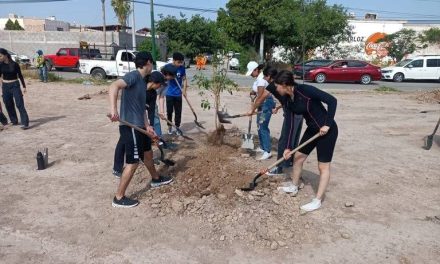 Reforestan espacios públicos con 12 mil 400 plantas