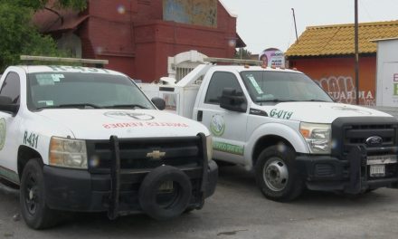Ángeles Verdes operara con normalidad en vacaciones
