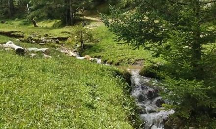 Crece la infraestructura de hospedaje en Arteaga