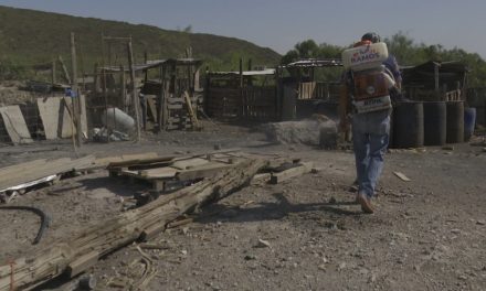 En Ramos Arizpe el primer caso de dengue en la región