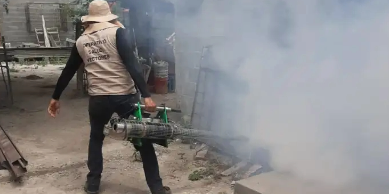 Mantienen fumigaciones para evitar el dengue en la región Carbonífera