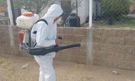 Refuerzan acciones contra la rickettsiosis en la región Carbonífera