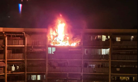 Tragedia en Francia: Incendio devastador cobra la vida de siete personas