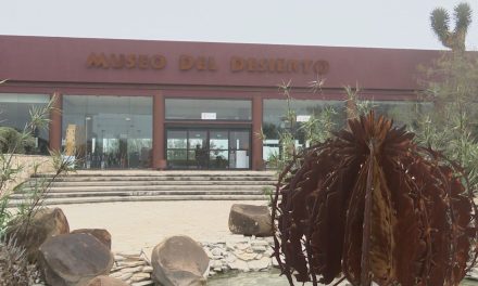 Los museos tendrán actividades durante vacaciones en Coahuila