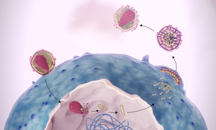 La OMS prueba fármaco que ha reducido a cero infecciones de VIH en tests clínicos