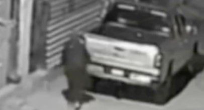 Video: Lomito se vuelve héroe sin capa al salvar su casa y su familia de un delincuente