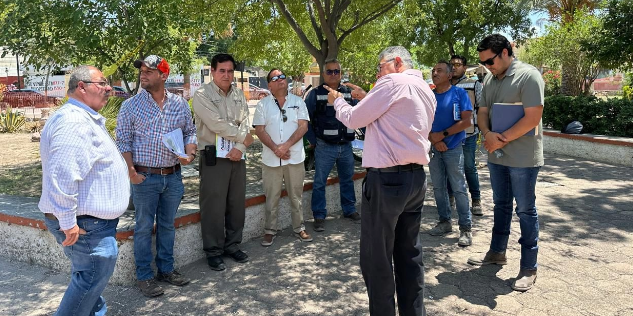 Remplazan árboles enfermos de la plaza ‘Benjamín Canales’ en Acuña