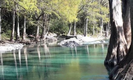 La extraña alergia en la piel que presentan varias personas al ingresar al río Ramos en Allende, Nuevo León