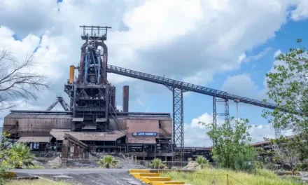 Remate de AHMSA podría tardar seis meses