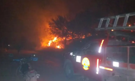 Reportan cuatro incendios provocados en Múzquiz