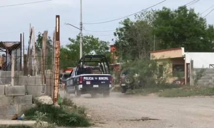 Roban tráiler carbonero en Sabinas