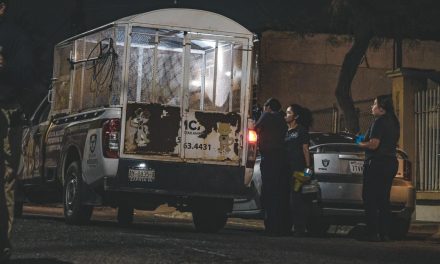 Cinco perros son asegurados tras quitarle la vida a mujer de 87 años en Mexicali