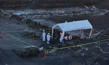 Hallan restos de un sexto minero en ‘El Pinabete’