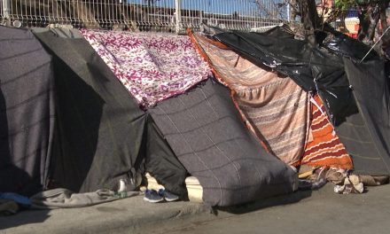 Comisión de Derechos Humanos al pendiente de migrantes en Coahuila