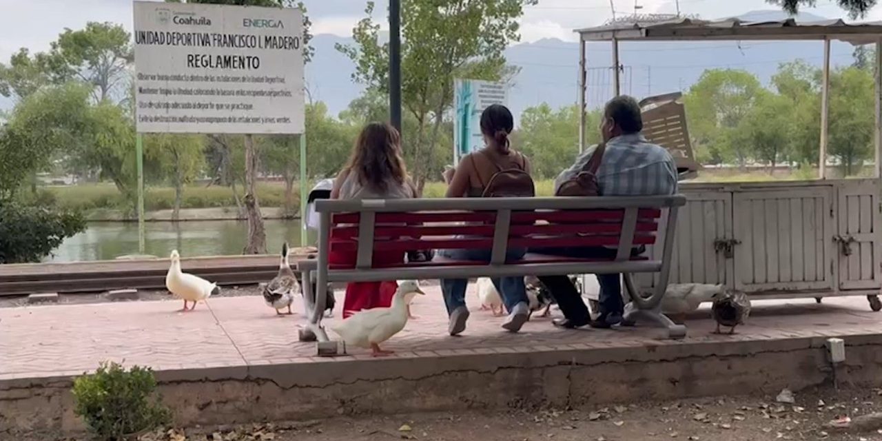 Este miércoles 28 de agosto se celebró el día de Los Abuelos