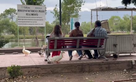 Este miércoles 28 de agosto se celebró el día de Los Abuelos