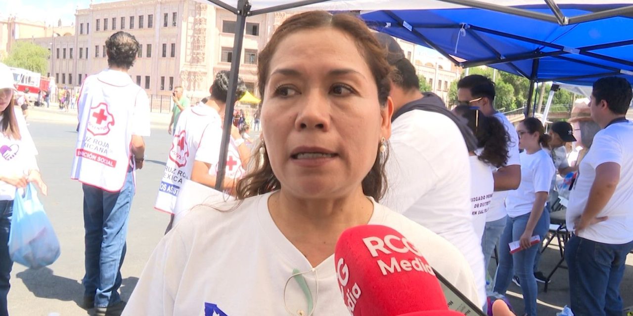La carrera de jueces y magistrados es escalonada y larga; afirma Ana Luisa Beltrán