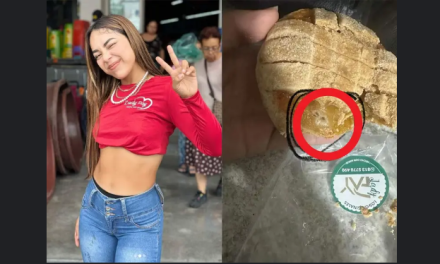 Acusan a Lady Pays de entregar postres con moho y patas de cucarachas en Nuevo León