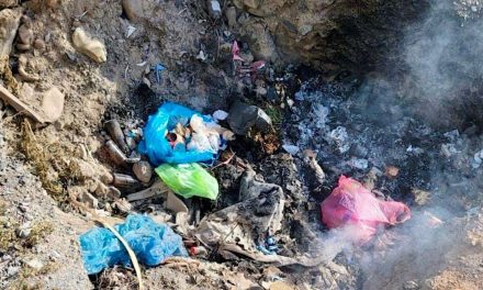 Saltillo: Encuentran restos óseos en predio baldío; serían de mujer desaparecida